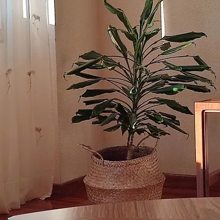 Apartamento Duplex Acogedor Camino Inglés A 10 Min De Santiago Sigueiro